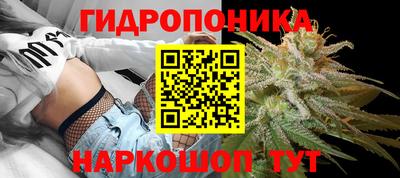 mdma Камышлов