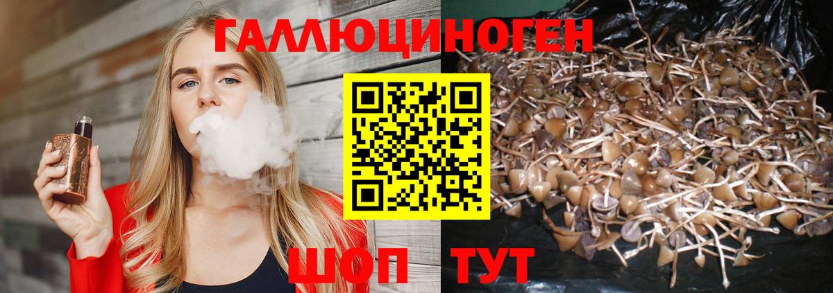Псилоцибиновые грибы прущие грибы  Галлюциногенные грибы Psilocybe  Вход с VPN  Губкинский 
