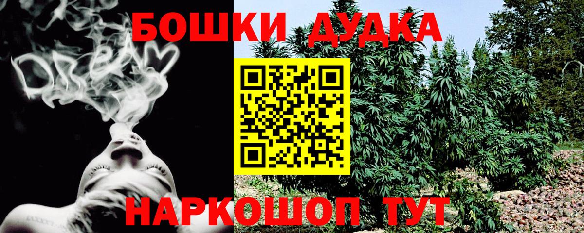 Конопля сатива Губкинский